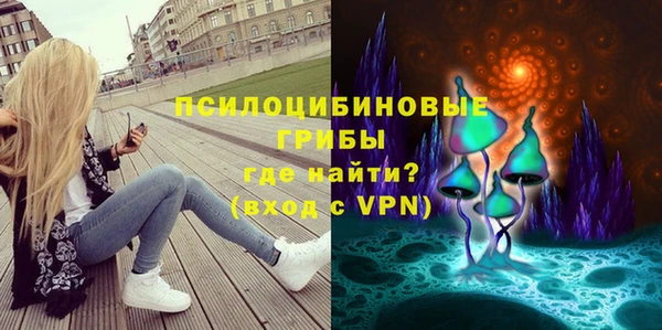 марки lsd Белокуриха