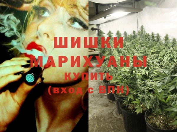 марки lsd Белокуриха
