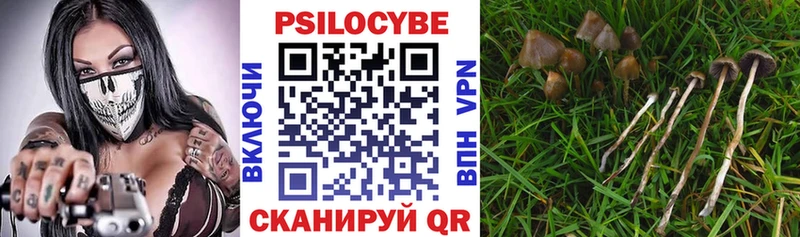 Галлюциногенные грибы прущие грибы  где продают наркотики  Владивосток 